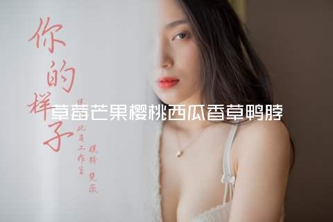 草莓芒果樱桃西瓜香草鸭脖